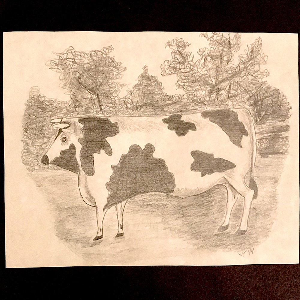 Folk Art Cow Pencil Drawing